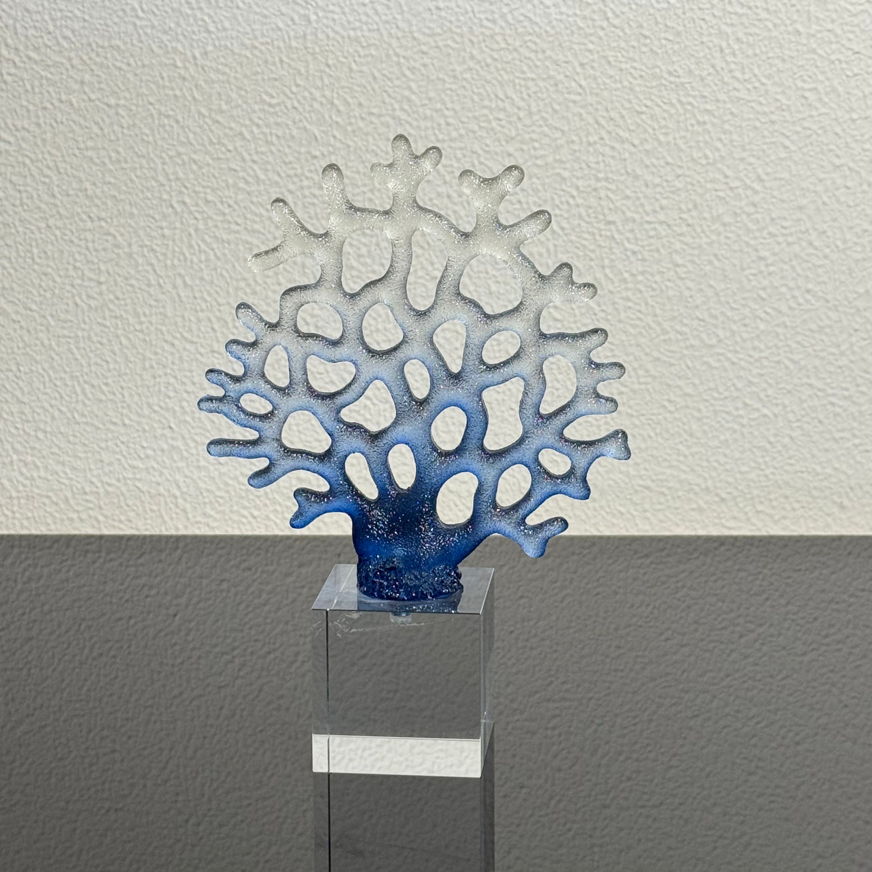 Ocean Branch