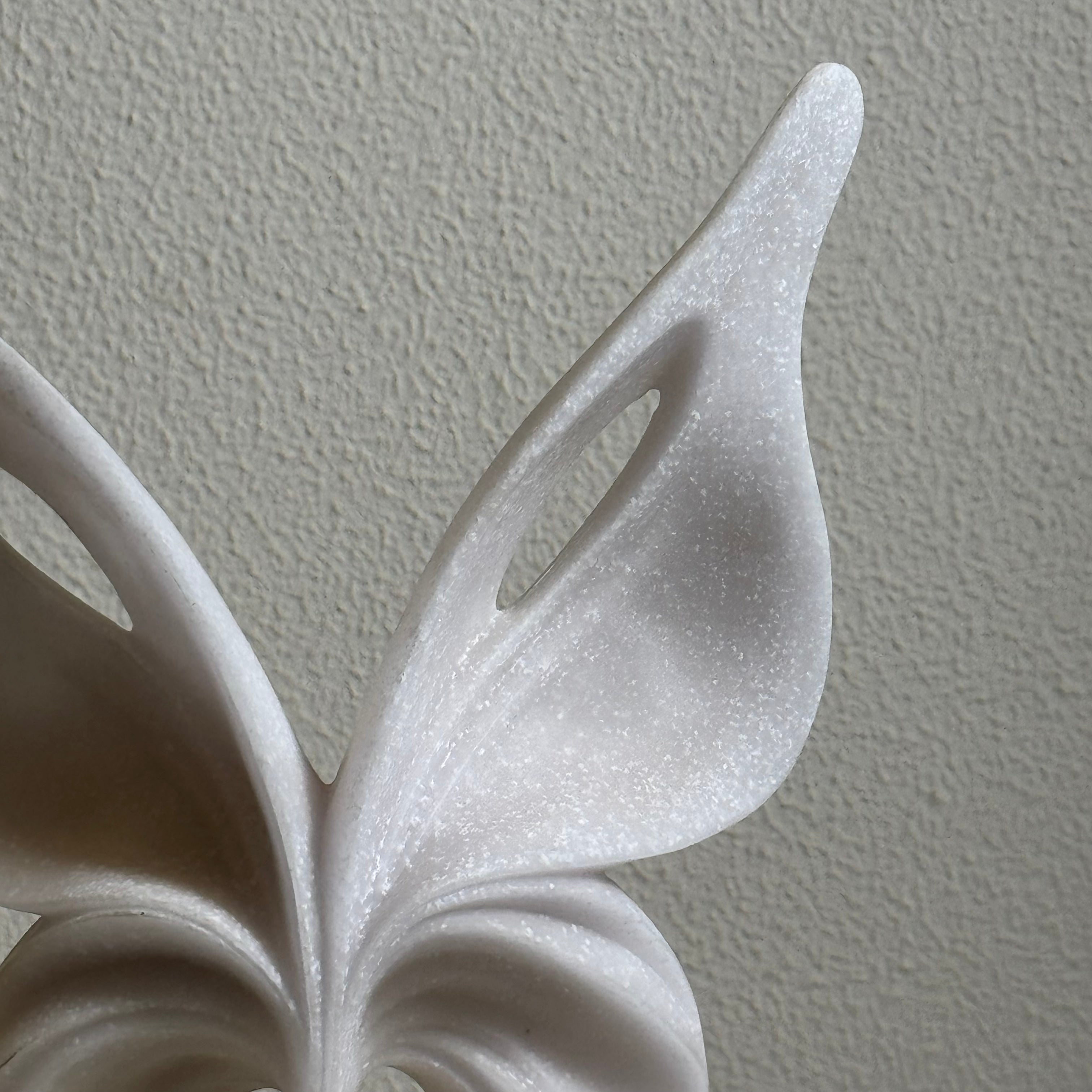 Wings in Motion (small)