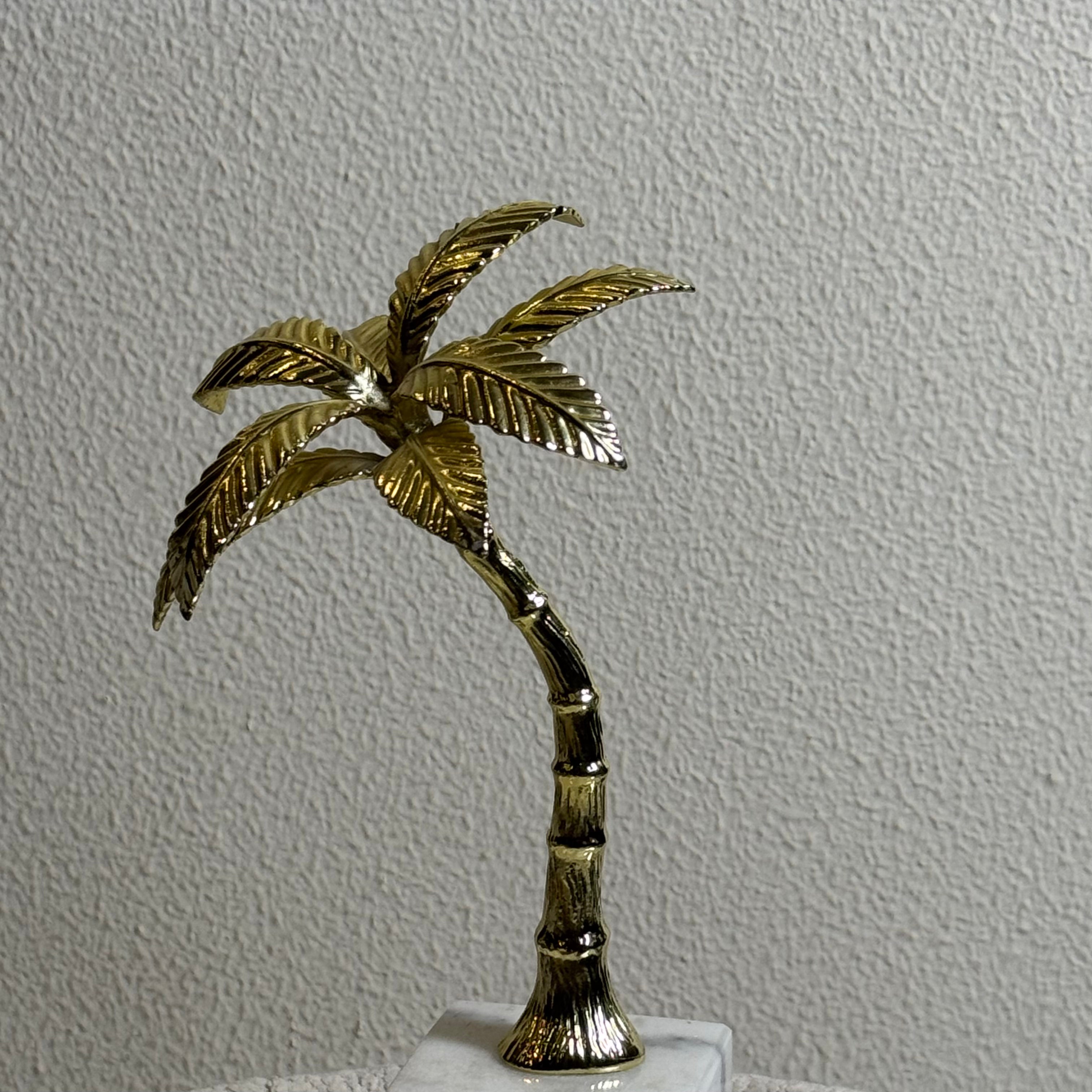 Palm Majesty Set