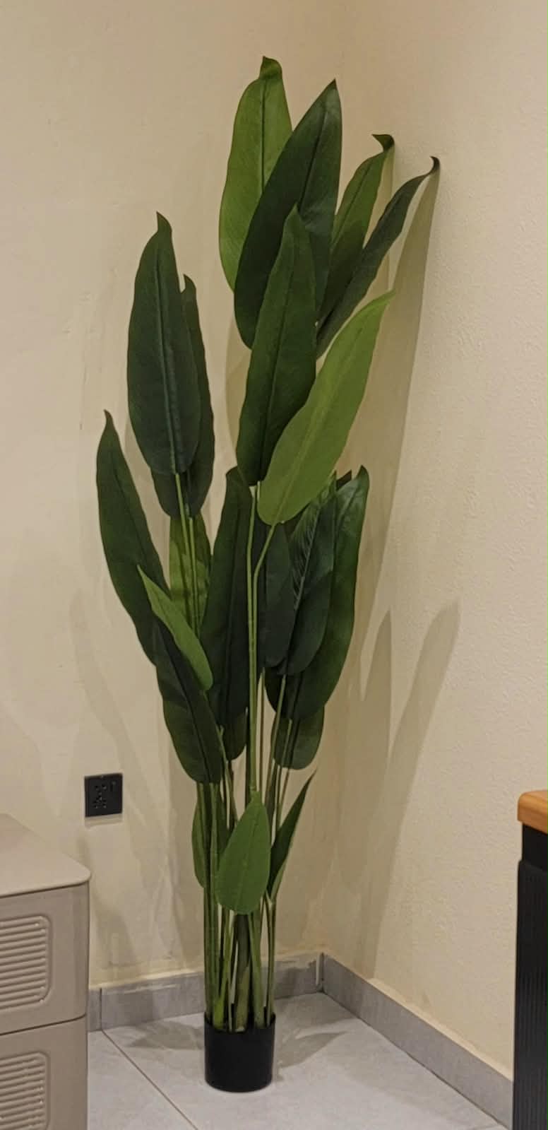 Forest blade plant