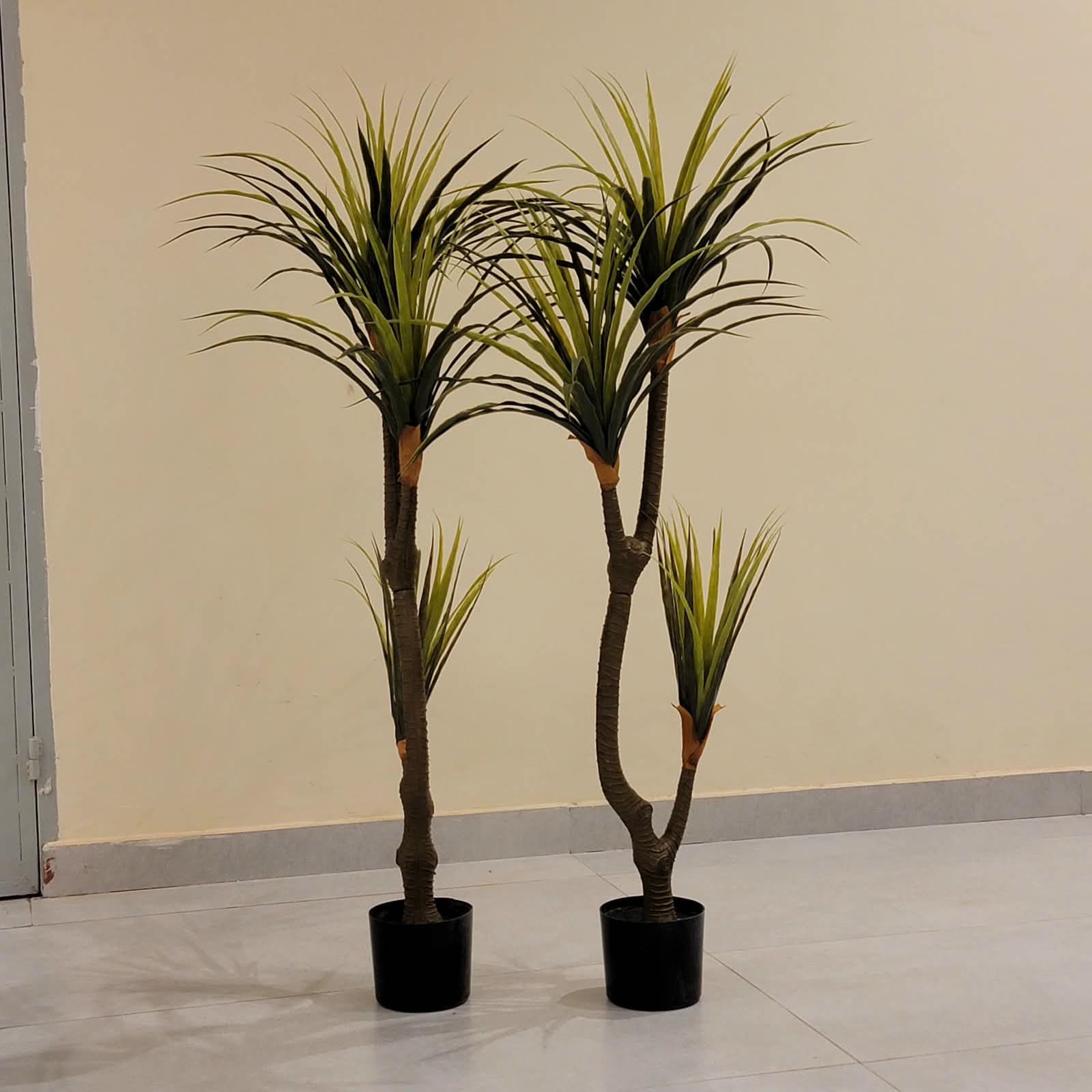 Green Branch Palm