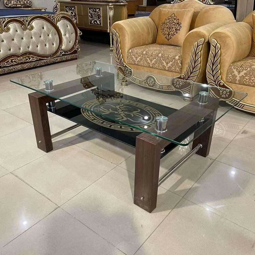Luna Modern Glass & Marble-Finish Center Table - CT04