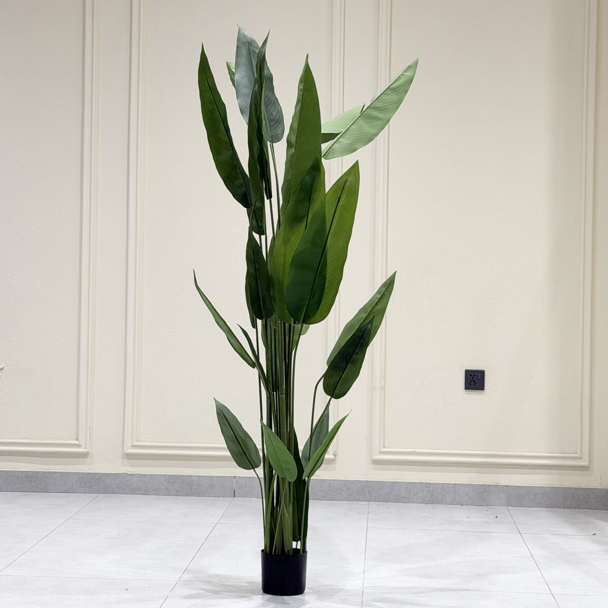 Forest blade plant