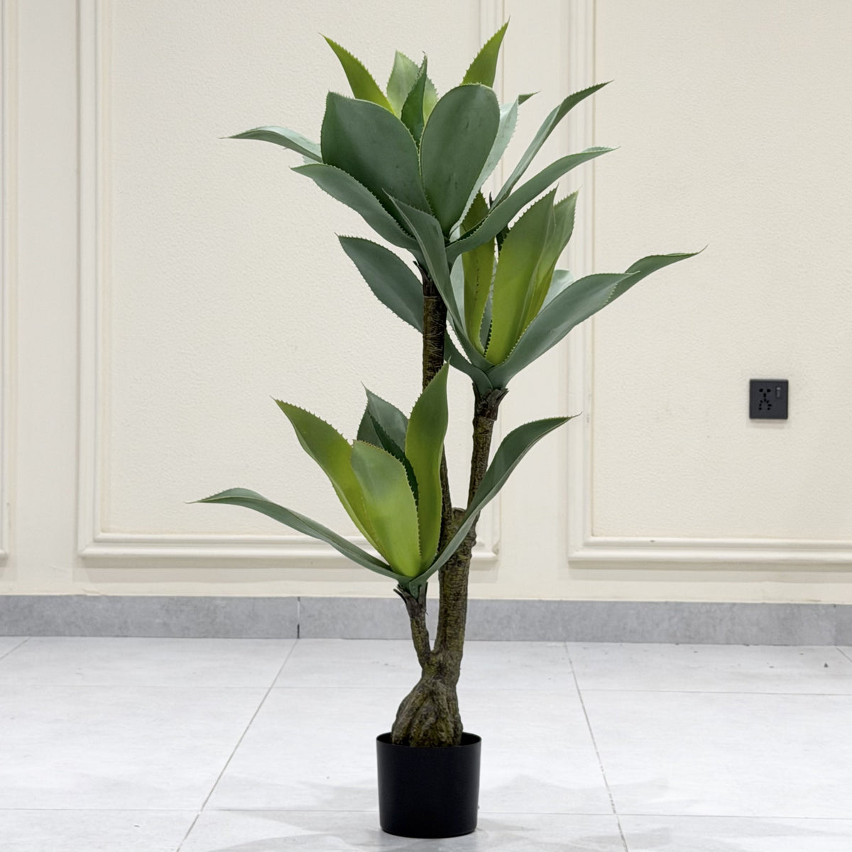 Green Spear Plant