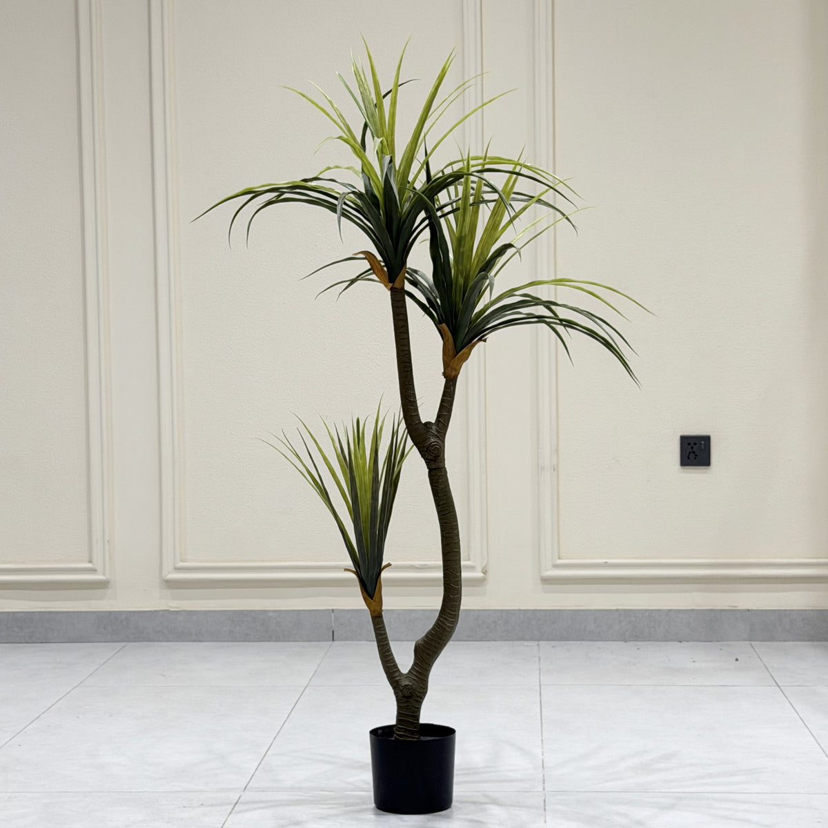 Green Branch Palm