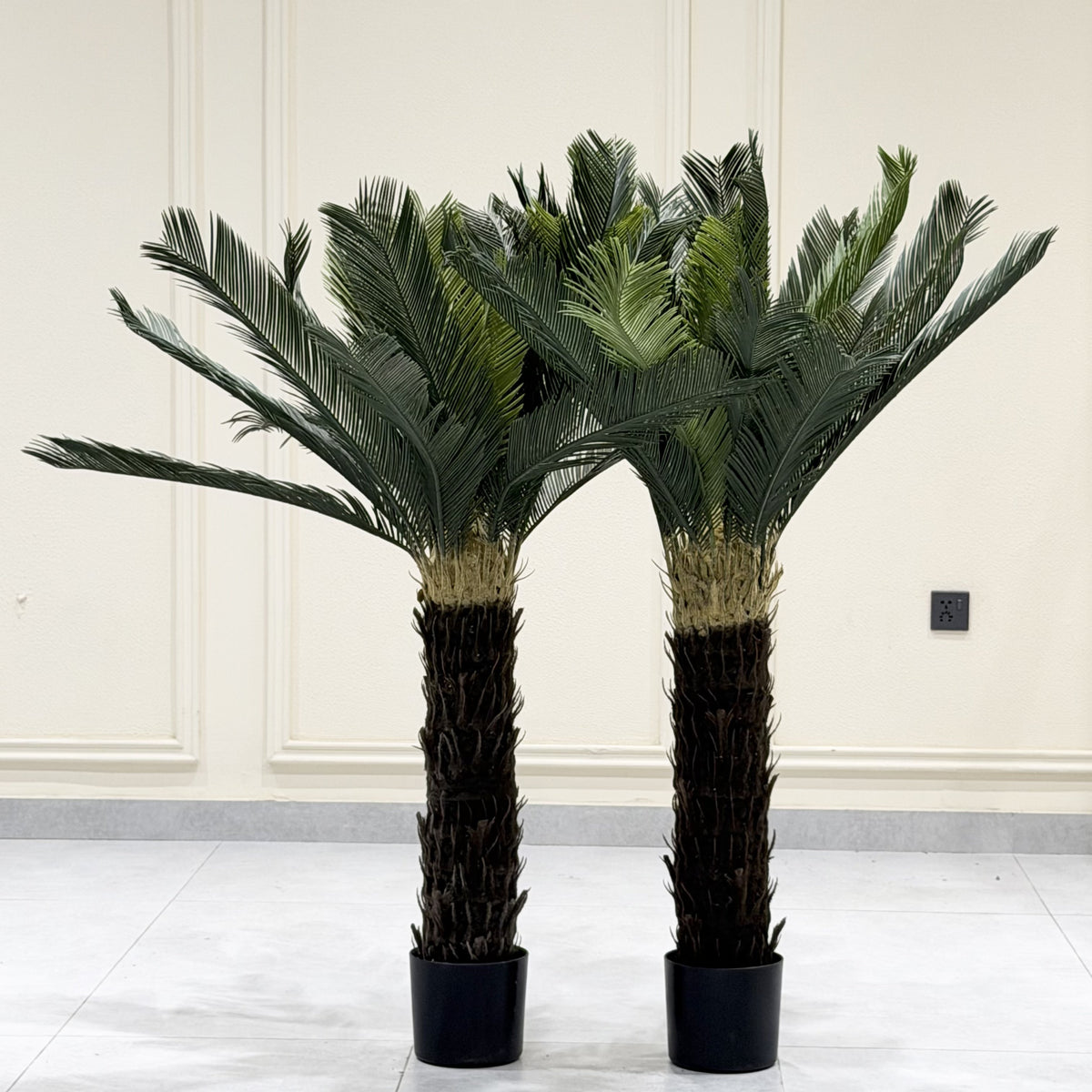 Palm Crest