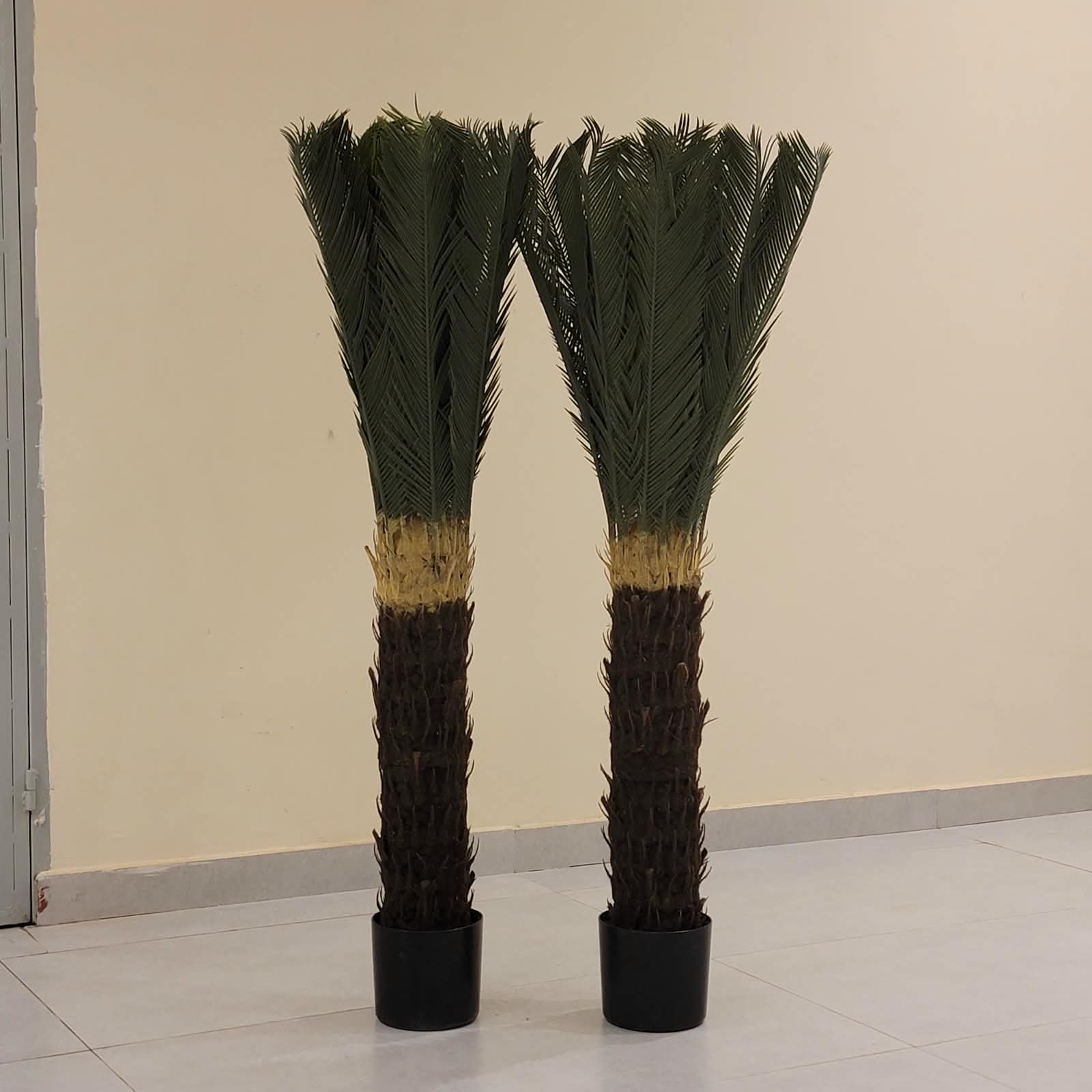 Palm Crest