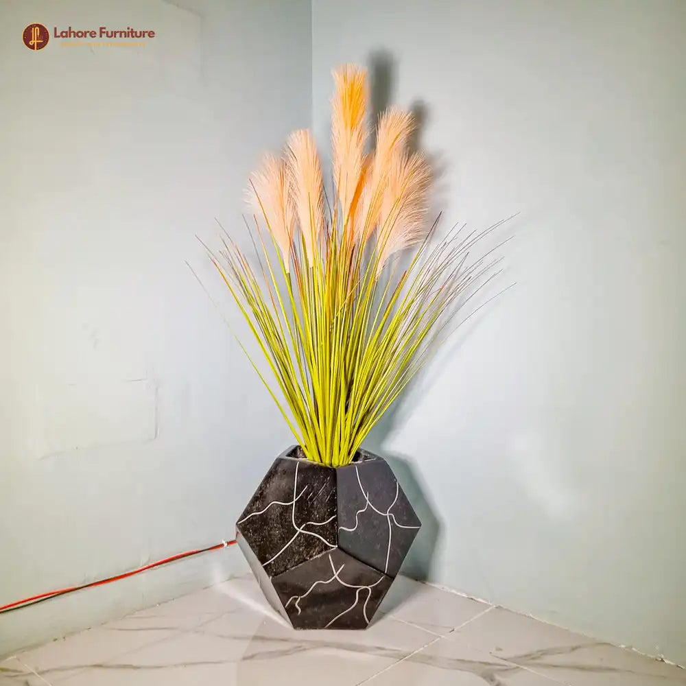Sitta Plant with Beautiful Pot
