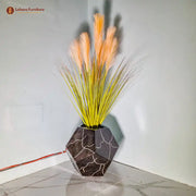 Sitta Plant with Beautiful Pot