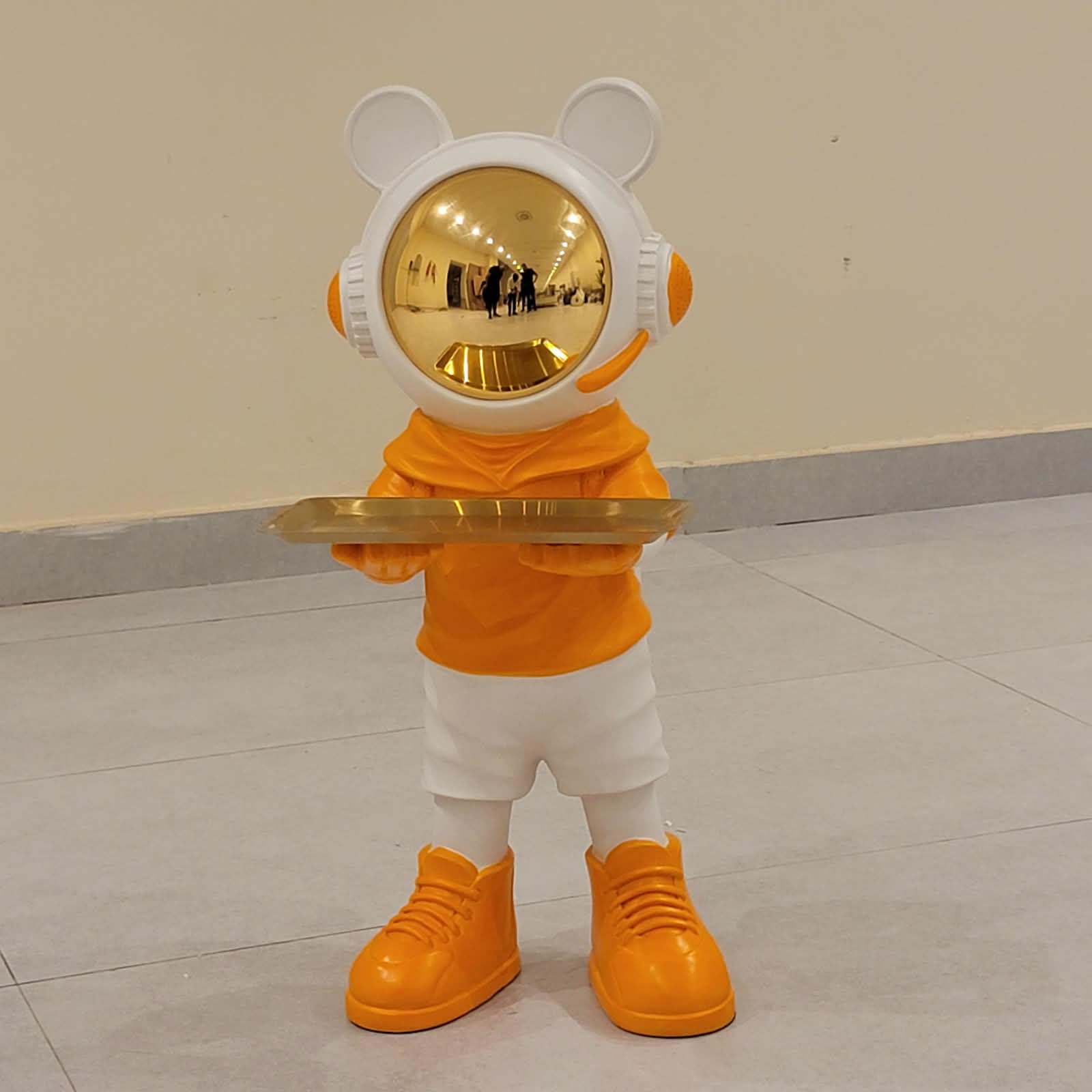 Space Steward